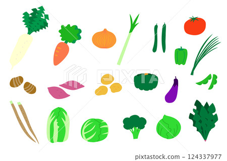 各種蔬菜的插圖集 124337977