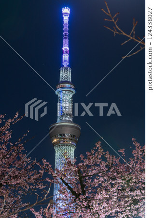 "Tokyo" Cherry blossoms at night and Tokyo Skytree, Sumida Park "Tokyo" Cherry blossoms at night and Tokyo Skytree, Sumida Park 124338027