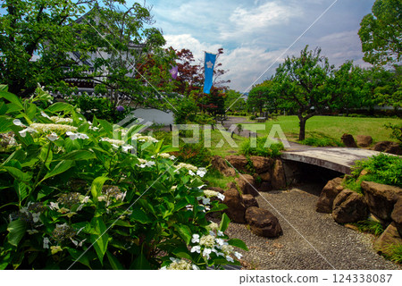 Kyoto: Hydrangeas blooming at Shoryuji Castle Kyoto: Hydrangeas blooming at Shoryuji Castle 124338087