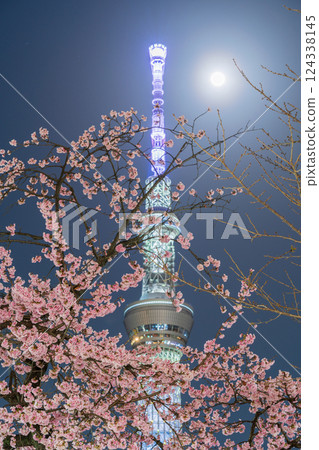 「東京」夜晚的櫻花和東京晴空塔、隅田公園 「東京」夜晚的櫻花和東京晴空塔、隅田公園 124338145