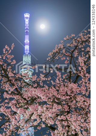 「東京」夜晚的櫻花和東京晴空塔、隅田公園 124338146
