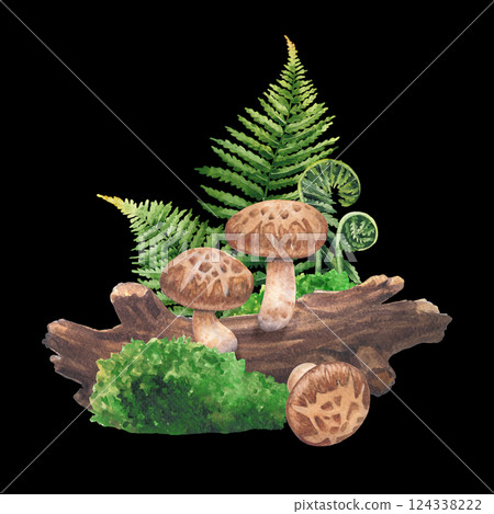 Realistic watercolor Shiitake mushroom surrounded with a log, moss and fern leaves 124338222