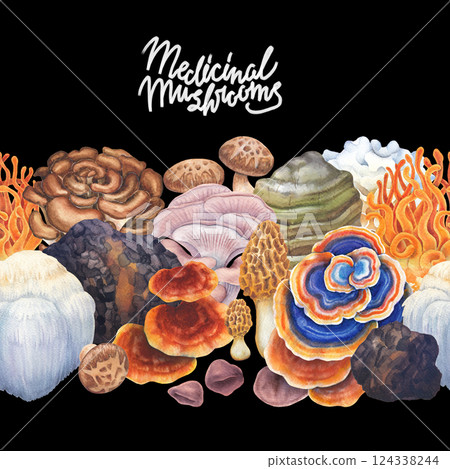 Watercolor seamless border of a various medicinal mushrooms 124338244