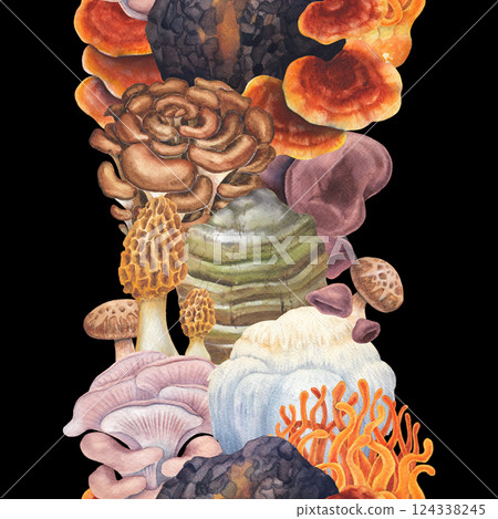 Watercolor seamless border of a various medicinal mushrooms Watercolor seamless border of a various medicinal mushrooms 124338245