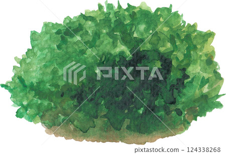 Realistic watercolor moss piece isolated on a white background Realistic watercolor moss piece isolated on a white background 124338268