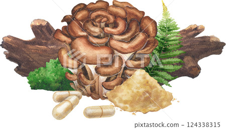 Realistic watercolor Maitake mushroom surrounded with a log, moss, fern leaf, pills and powder 124338315