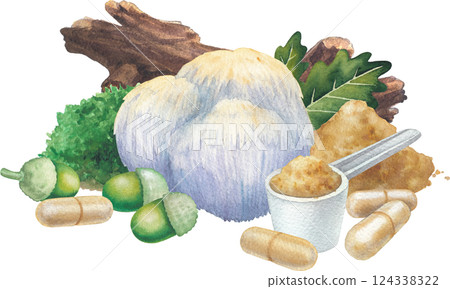 Watercolor Lion's Mane mushroom surrounded with a pills and powder, log, moss, oak leaves and acorns. Watercolor Lion's Mane mushroom surrounded with a pills and powder, log, moss, oak leaves and acorns. 124338322