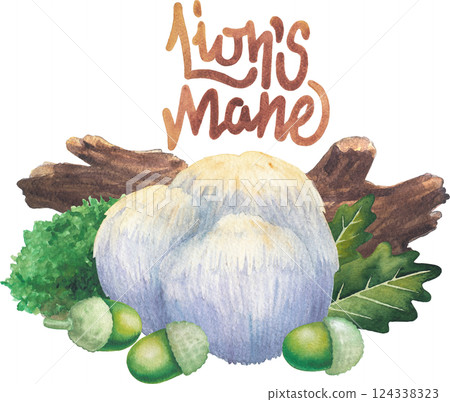 Watercolor Lion's Mane mushroom surrounded with a log, moss, oak leaves and acorns 124338323