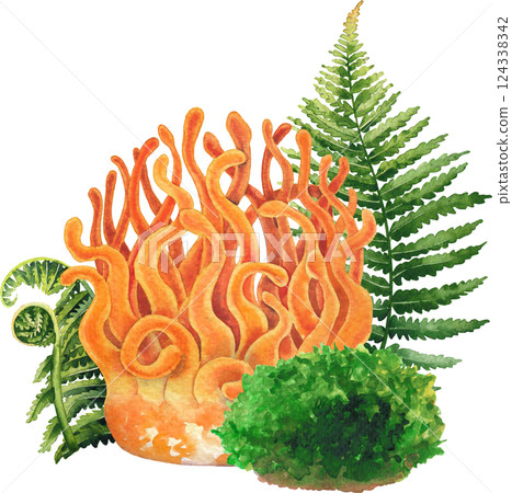 Realistic watercolor Cordyceps mushroom decorated with fern leaves and moss isolated on a white background Realistic watercolor Cordyceps mushroom decorated with fern leaves and moss isolated on a white background 124338342