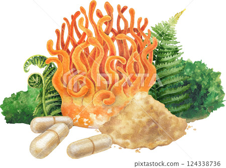 Watercolor Cordyceps mushroom surrounded with a moss, fern leaves, pills and powder 124338736