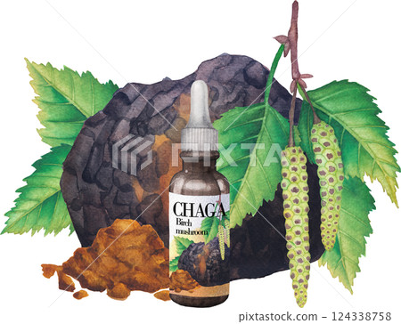 Realistic watercolor glass bottle of a Chaga extract decorated with mushroom, Birch leaves, catkins and powder 124338758