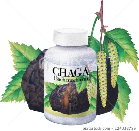 Realistic watercolor plastic bottle of a Chaga mushroom supplement decorated with Birch leaves and catkins. 124338759