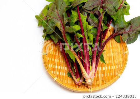 Red-stemmed salad spinach Red-stemmed salad spinach 124339013