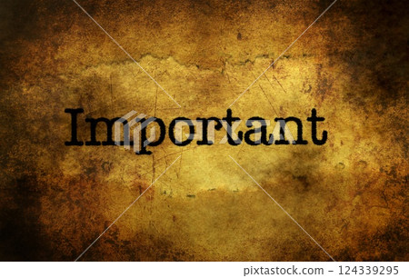 Important text grunge concept Important text grunge concept 124339295