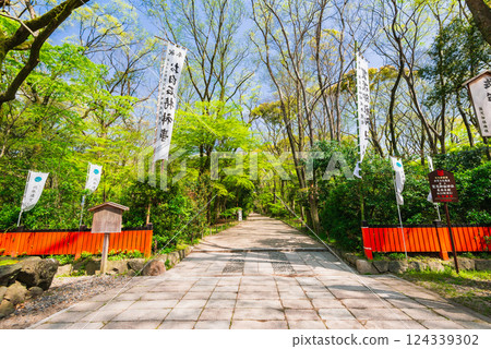 京都的春天：下鴨神社、表參道 124339302
