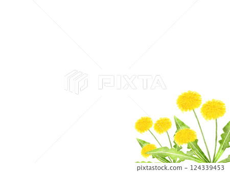 Watercolor dandelion illustration 124339453