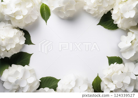 白色背景上的白色繡球花框架 白色背景上的白色繡球花框架 124339527