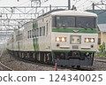 185 series train running on the Tokaido Line 124340025