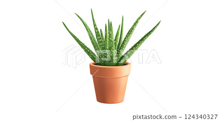 Aloe Vera Plant In Terracotta Pot. Natural Skincare And Indoor Air Purification Isolated On Transparent Background 124340327