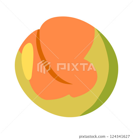 Illustration of soft-boiled plums Illustration of soft-boiled plums 124341627