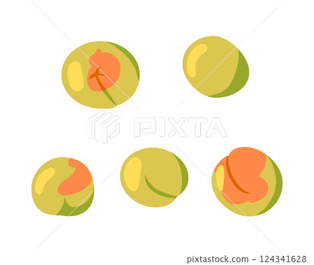 五顆溏心李子的插圖 124341628