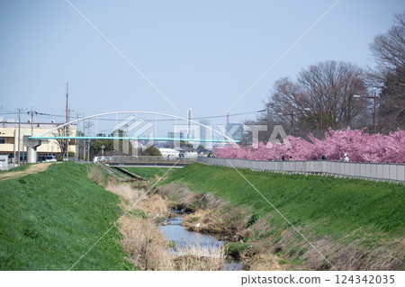 Cherry blossoms along the Egawa River 124342035