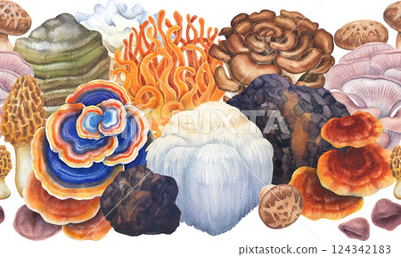 Watercolor seamless border of a various medicinal mushrooms Watercolor seamless border of a various medicinal mushrooms 124342183