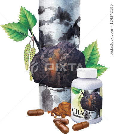 Realistic watercolor plastic bottle of a Chaga supplement decorated with pills, powder and Mushroom on a Birch tree 124342199