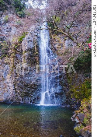 [Minoh Falls] Winter season scenery 124342302