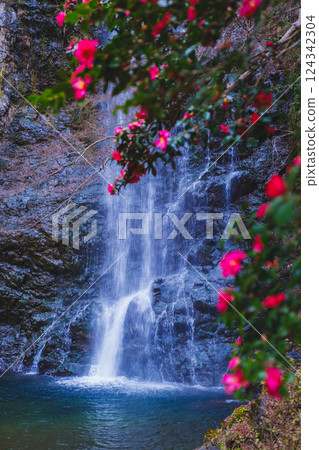 [箕面瀑布] 冬季風景 124342304