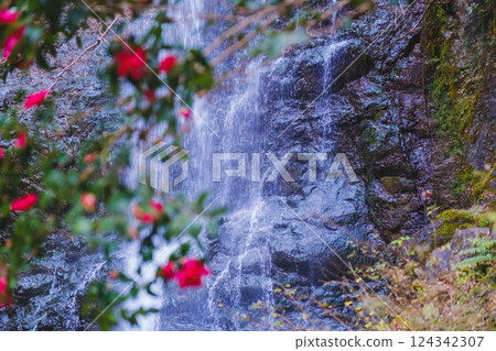 [Minoh Falls] Winter season scenery 124342307