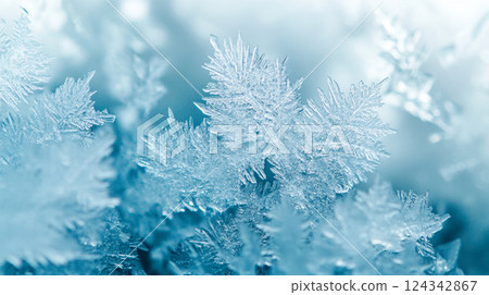 美麗的雪花特寫微距照片 美麗的雪花特寫微距照片 124342867