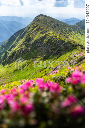 Scenic nature landscape with green mountain peaks Scenic nature landscape with green mountain peaks 124342907