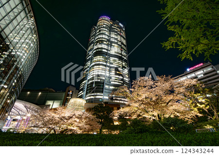 Illuminated cherry blossoms at night Illuminated cherry blossoms at night 124343244