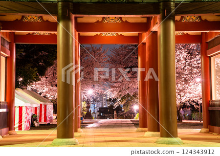 Niomon Gate and cherry blossoms at Ikegami Honganji Temple 124343912