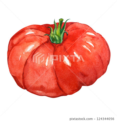Red watercolor tomato on a white background. Large ripe summer tomato. Ingredient for Italian pasta. 124344056