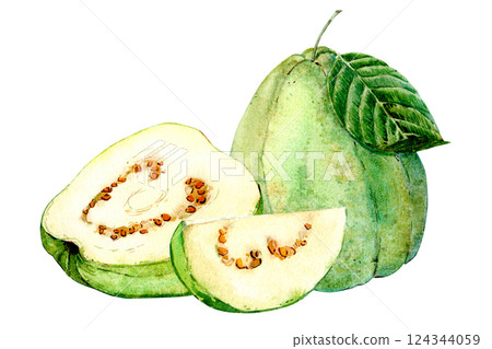 Exotic fruits on a white background. Watercolor illustration. Guava with white pulp. Whole fruit, cut piece and half. 124344059