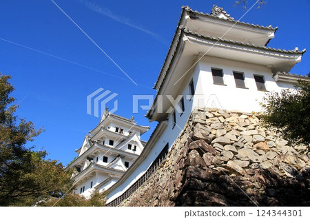 Gujo Hachiman Castle 124344301
