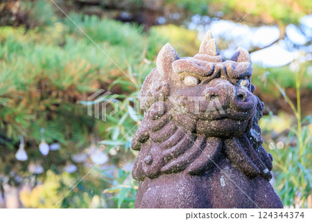 天橋立知恩寺文殊堂的護衛犬 天橋立知恩寺文殊堂的護衛犬 124344374