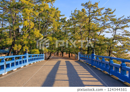 Amanohashi of Amanohashidate 124344381