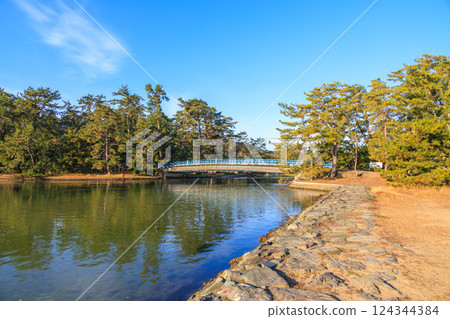 Otenkyo Bridge and pine forest at Amanohashidate 124344384