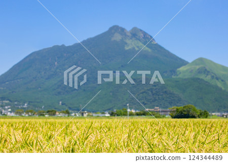 大米和玉符 124344489