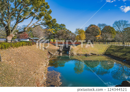 Autumn scenery of Sunpu Castle Park in Shizuoka City (Shizuoka Prefecture) 124344521