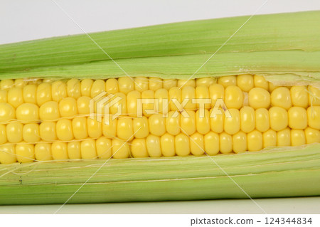 Raw corn on a white the background 124344834