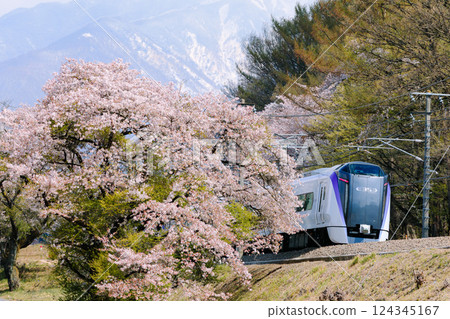 Cherry blossoms, snowy mountains and the Chuo Line Azusa Express Cherry blossoms, snowy mountains and the Chuo Line Azusa Express 124345167