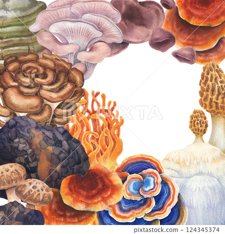 Realistic watercolor medicinal mushrooms isolated on a white background 124345374