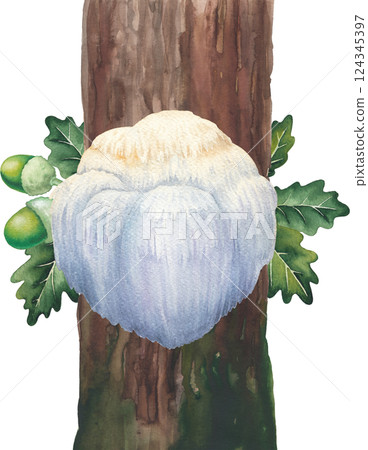 Watercolor Lion's Mane mushroom growing on a mossy tree trunk. Hand-painted design isolated on a white background Watercolor Lion's Mane mushroom growing on a mossy tree trunk. Hand-painted design isolated on a white background 124345397
