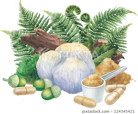 Watercolor Lion's Mane mushroom surrounded with a log, moss, oak and fern leaves, acorns, pills and powder. 124345421