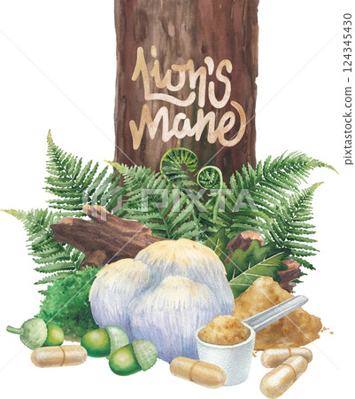 Watercolor Lion's Mane mushroom surrounded with a log, moss, oak and fern leaves, acorns, pills and powder. Watercolor Lion's Mane mushroom surrounded with a log, moss, oak and fern leaves, acorns, pills and powder. 124345430