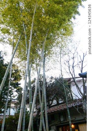 岩手縣盛岡市宮澤賢二《許多訂單的餐廳》首次出版，出版社，舊房子 124345636